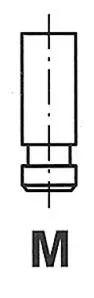 Intake Valve