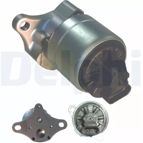 EGR Valve