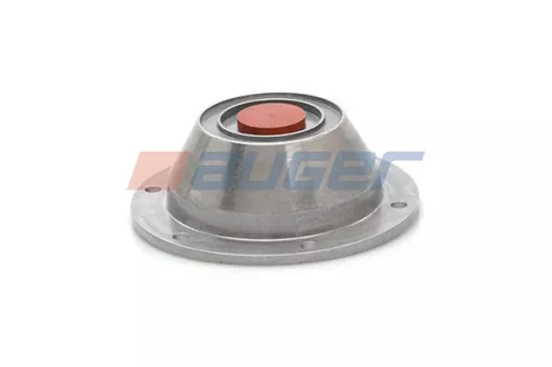 Cap, wheel bearing