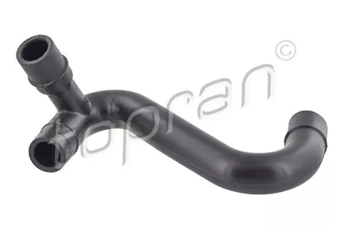 Hose, cylinder head cover ventilation