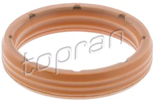 Seal Ring, hydraulic filter