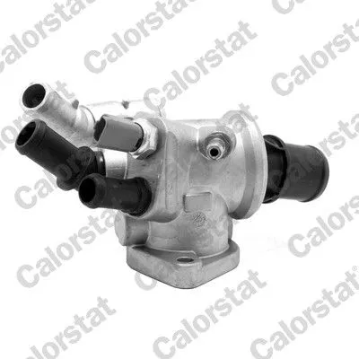 Thermostat, coolant