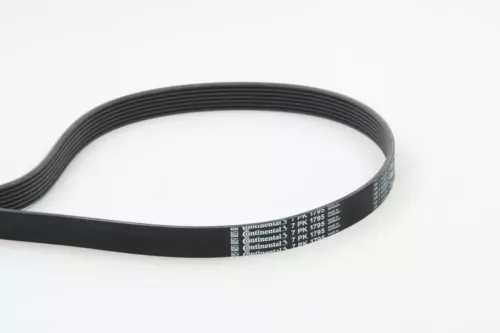 V-ribbed Belt