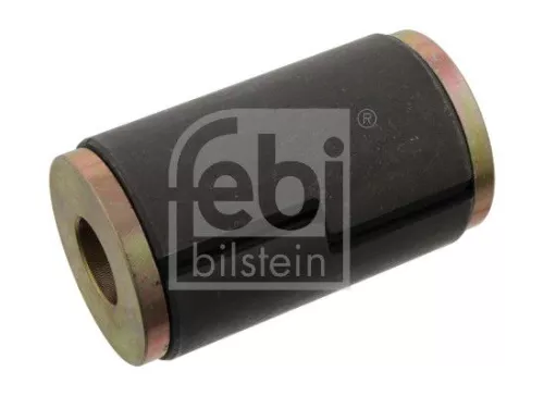 Bushing, leaf spring