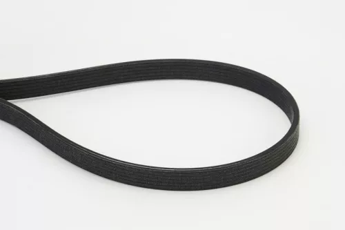 V-ribbed Belt