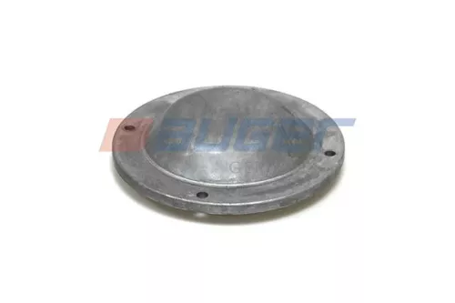 Cap, wheel bearing