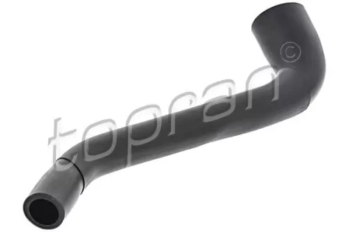 Hose, cylinder head cover ventilation