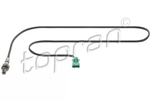 Oxygen Sensor