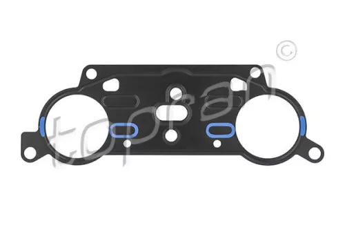 Gasket, timing case