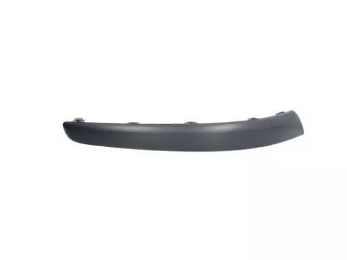 Trim/Protection Strip, bumper