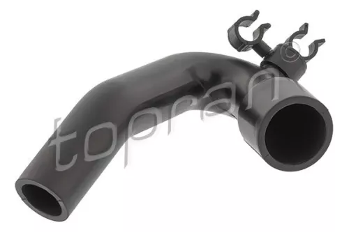 Hose, cylinder head cover ventilation