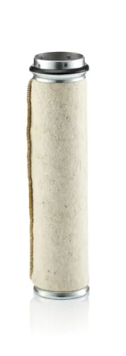 Secondary Air Filter