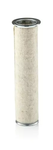 Secondary Air Filter