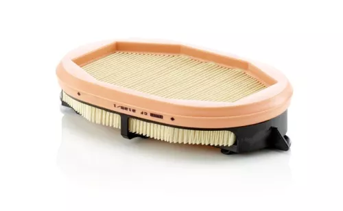 Secondary Air Filter