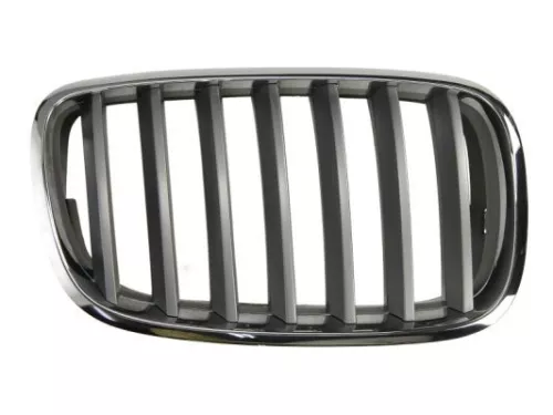 Radiator Grille