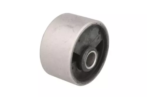 Holder, engine mounting system