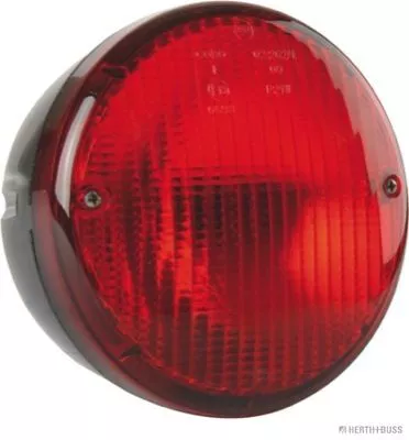 Rear Fog Light