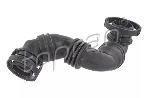 Hose, cylinder head cover ventilation