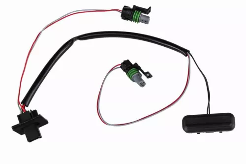 Switch, door lock system