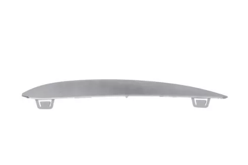 Trim/Protection Strip, bumper