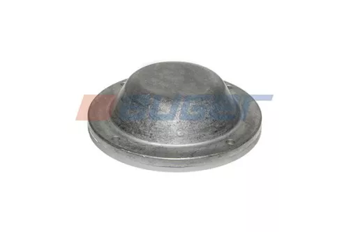 Cap, wheel bearing