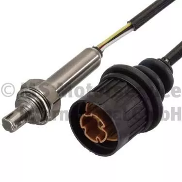 Oxygen Sensor