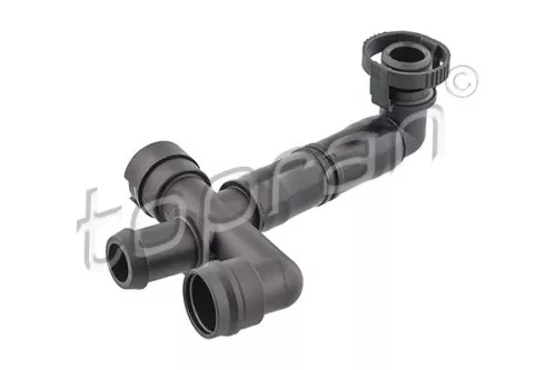 Hose, cylinder head cover ventilation