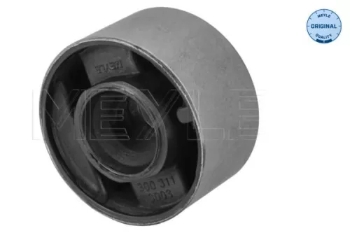 Mounting, control/trailing arm