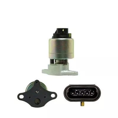 EGR Valve