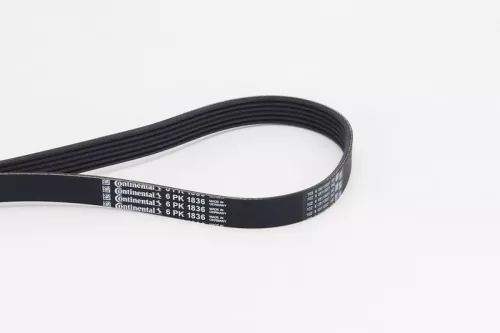 V-ribbed Belt