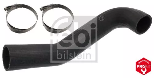 Radiator Hose