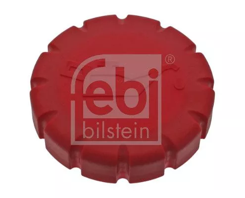 Cap, oil filler neck