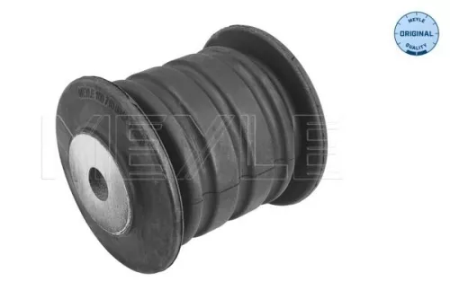 Bushing, leaf spring