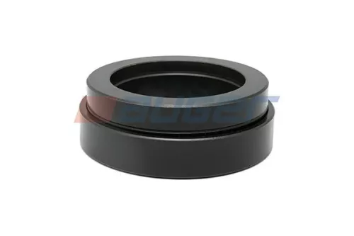 Mount, leaf spring hanger