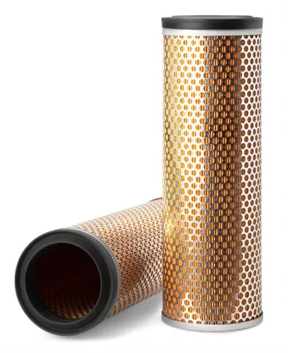 Secondary Air Filter