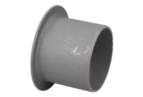 Bushing, leaf spring