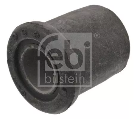 Bushing, leaf spring