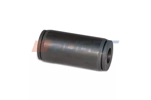 Bushing, leaf spring