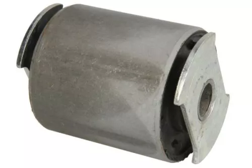 Bushing, leaf spring