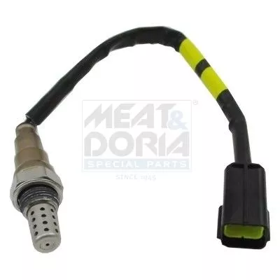 Oxygen Sensor