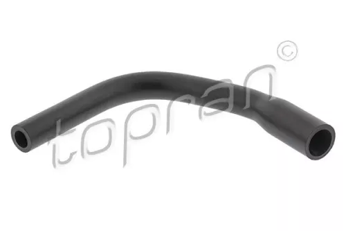 Hose, cylinder head cover ventilation