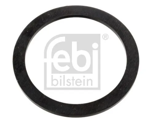 Gasket, oil filler neck cap