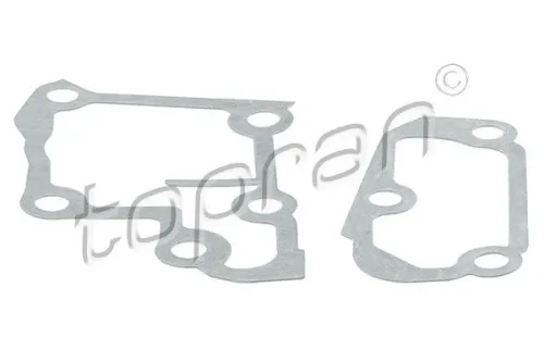 Gasket, thermostat housing