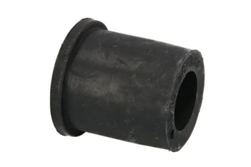Bushing, leaf spring