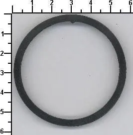 Seal Ring