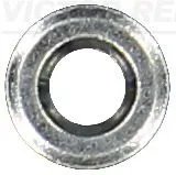 Seal Ring, injector