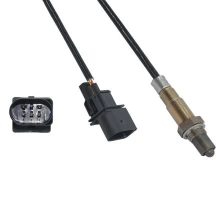 Oxygen Sensor