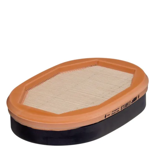 Secondary Air Filter