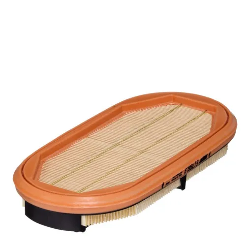 Secondary Air Filter