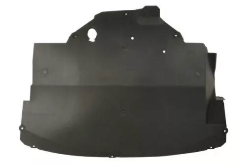 Engine Guard/Skid Plate